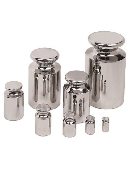 Pesi Campione Classe M1 inox 
