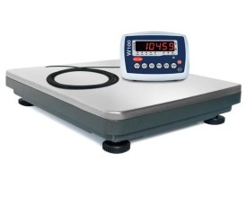 Bilancia Bilico 300 kg W100 Wunder 2
