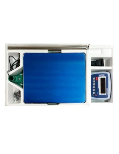 Kit di consegna Bilico W100 Wunder 