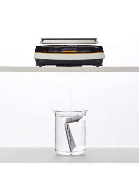 Bilancia Sartorius ENTRIS II app pesata densità