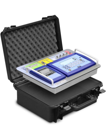 Indicatore in valigia pesa veicoli DWF