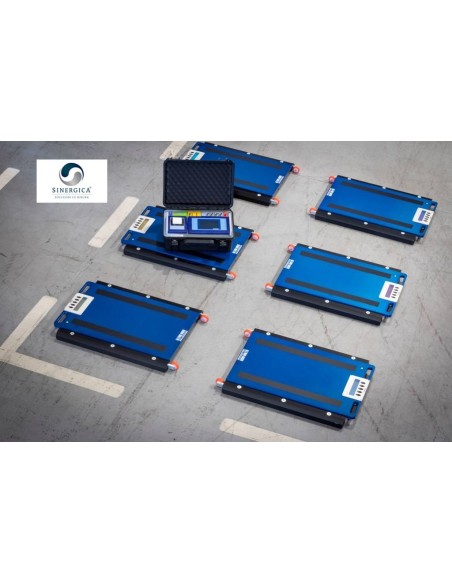 Pesa camion a 6 piattaforma