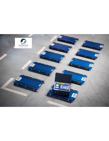 Pesa trasportabile WSD