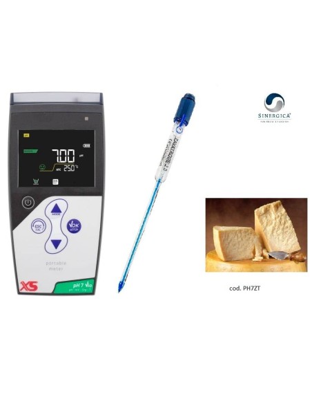 PHmetro per Formaggi tipo parmigiano