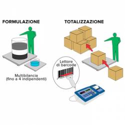 Esempio applicazione Software formulazione totalizzazione