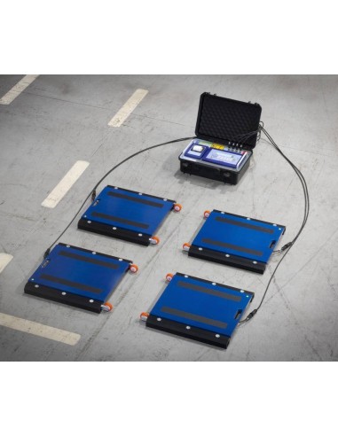 Pesa Veicoli Sinergica DWF