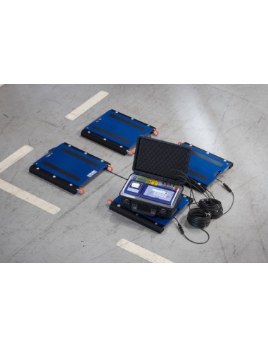 Pesa per Camion Sinergica DWF