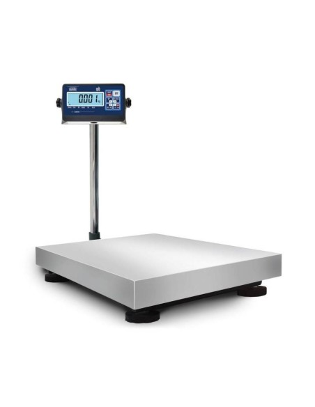 Bilancia bilico professionale WP1