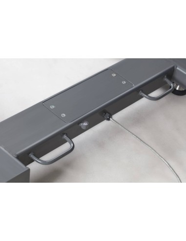 Bilancia pesa-pallet KERN UIB maniglie di trasporto