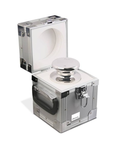 Pesi certificati M1 completi di custodia in alluminio