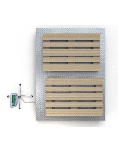 Bilancia industriale 1500x2000 da 4 ton vista dall'alto