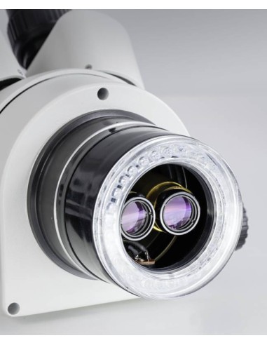 Stereomicroscopio Kern OZL-466 illuminazione led ad anello