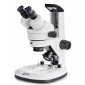 Stereomicroscopio Kern OZL-467