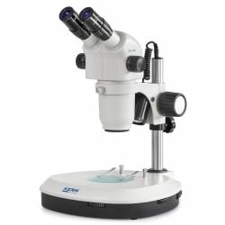 Stereomicroscopio professionale Led KERN OZP 556