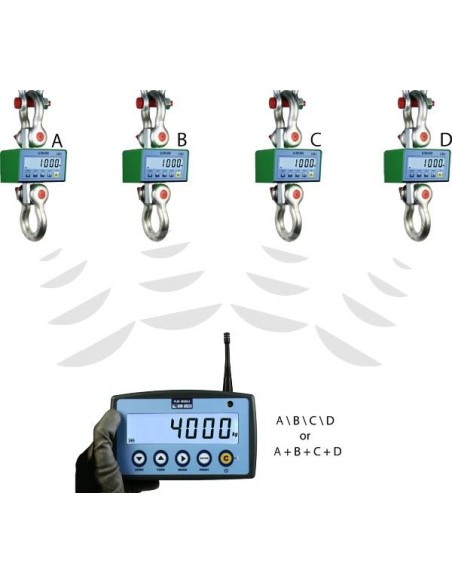 Dinamometro MCWNRF con display remoto configurabile in serie