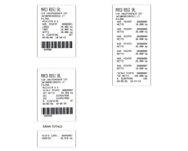 Indicatore con Stampante per bilancia FL 2