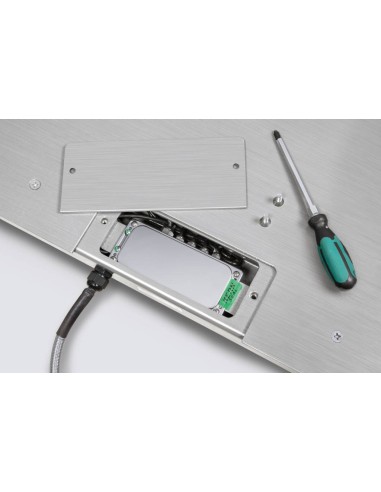 Botola ispezionabile bilancia inox BFN-I