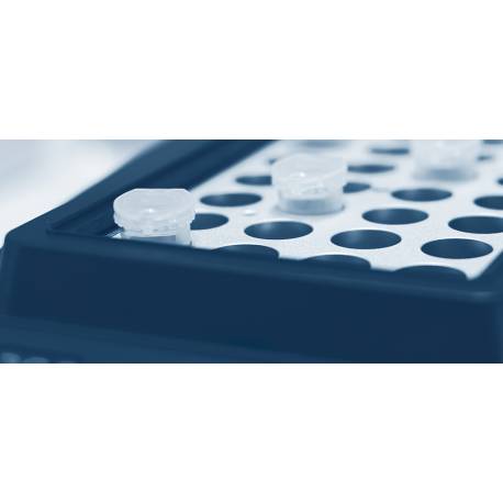 Termoblocco laboratorio provette