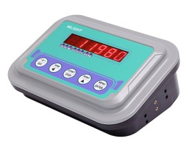 Pesapallet portatile ISPXF0A 2