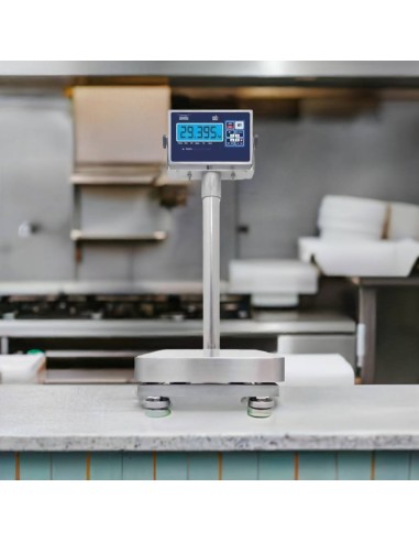 Bilancia Inox WBS per cucine e alimenti