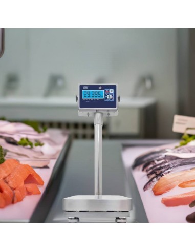 Bilancia Inox WBS per industria ittica e pescherie