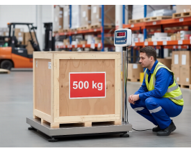 Bilancia Sinergica Proweigh W500 con portata 500 kg max