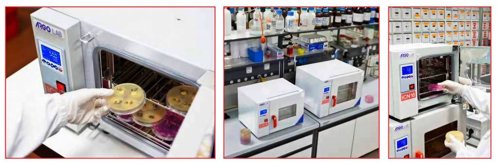 I vari tipi di incubatori in laboratorio