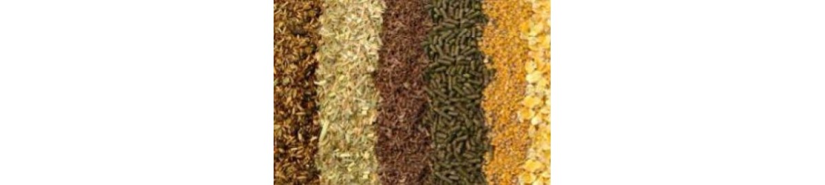 Soluzioni di Pesatura per Mangimi e Pet Food