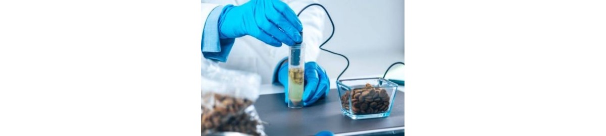 Come scegliere un pHmetro per alimenti: la guida completa