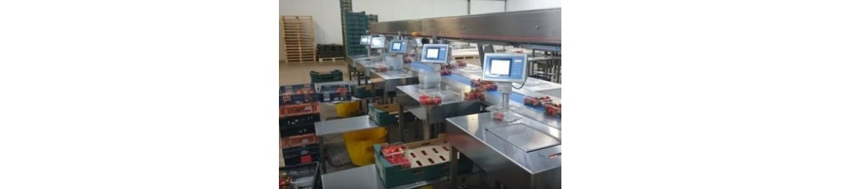 Bilance e Sicurezza Alimentare