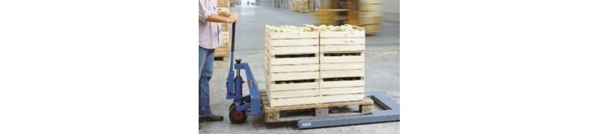Guida alle Bilance per Pallet: Come Scegliere la Migliore
